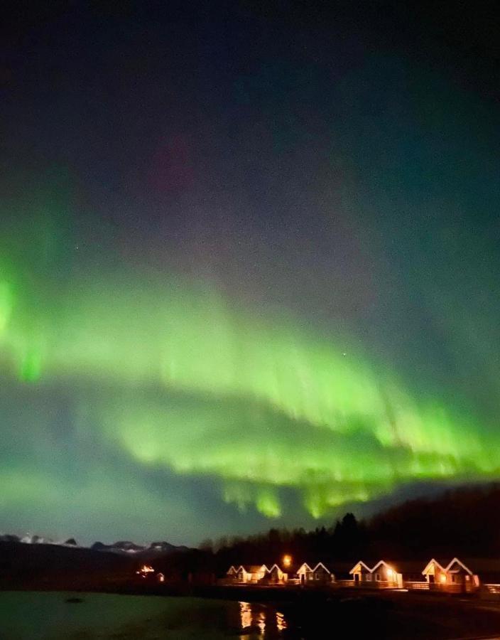Idyllisk Sjohus Pa Naurstad بودو المظهر الخارجي الصورة